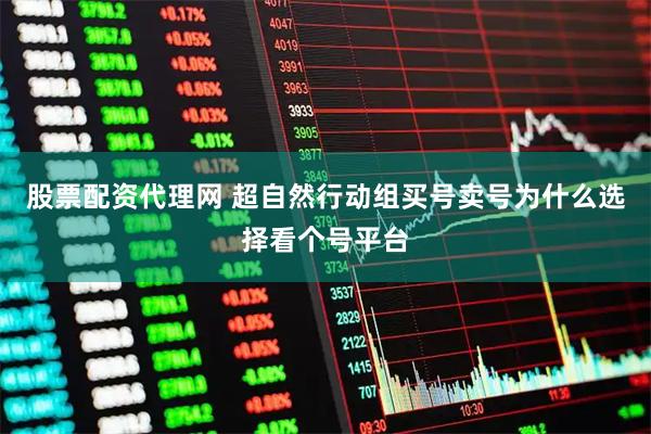 股票配资代理网 超自然行动组买号卖号为什么选择看个号平台