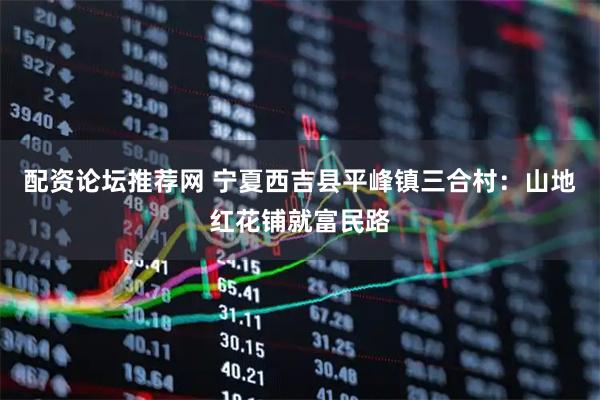 配资论坛推荐网 宁夏西吉县平峰镇三合村：山地红花铺就富民路