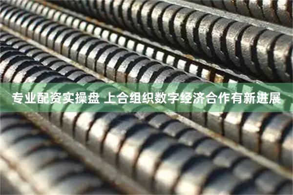 专业配资实操盘 上合组织数字经济合作有新进展
